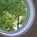 Sahalie Falls Bedroom in the treetops.