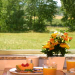 Enjoy your breakfast looking over the meadow.